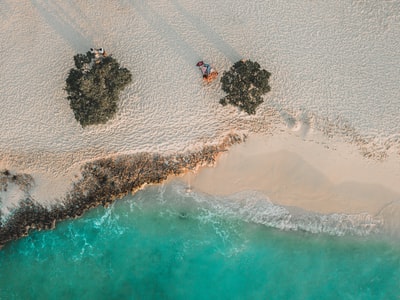 An aerial view of the people on the beach during the day
